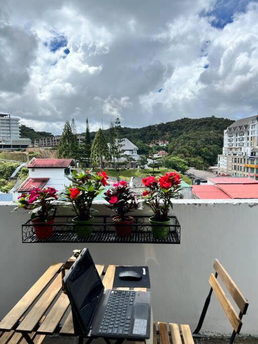 Lily Maison Apartment Tanah Rata Exterior photo