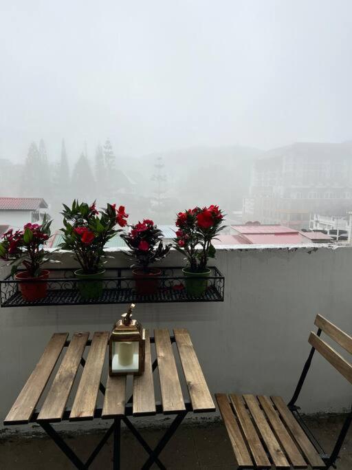 Lily Maison Apartment Tanah Rata Exterior photo